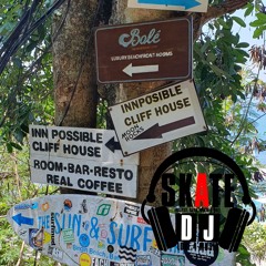 Skate DJ - Back From Bali