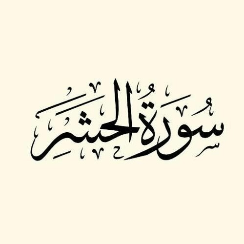 سورة الحشر | محمد مصطفى عبد المجيد