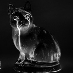 Is there anybody out there