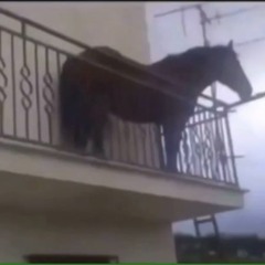 MORGENSTERN-Cristal Моёт