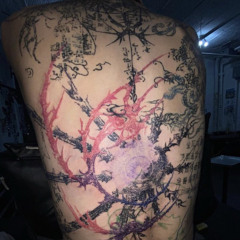 паспортные данные