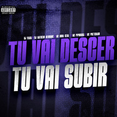 TU VAI DESCER TU VAI SUBIR (DJ VIANA & DJ MATHEUS HENRIQUE) feat Mc Pretchako