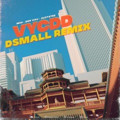 Vì Yêu Cứ Đâm Đầu (DJ DSmall Remix)
