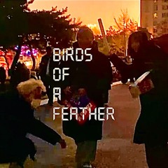 BIRDS OF A FEATHER(Nathan:DEI ver.)