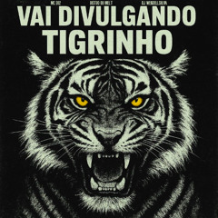 VAI DIVULGANDO O TIGRINHO - MC D12 ( DJ WENDELLSIILVA )