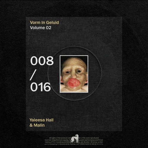 Yaleesa Hall & Malin - Vorm In Geluid 008