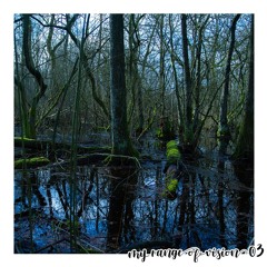 my range of vision 03