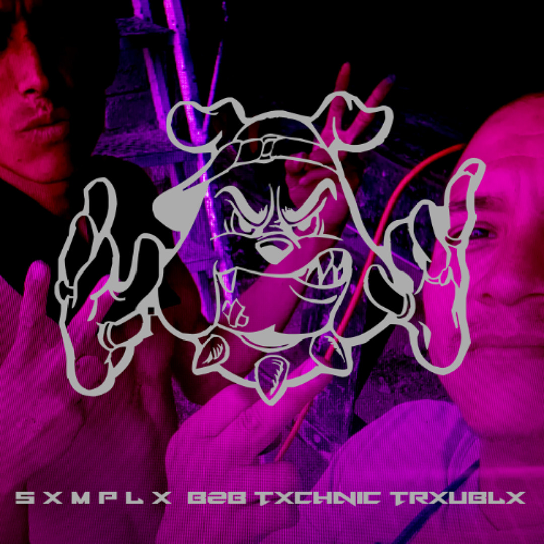 Stream SXMPLX B2B TECHNIC TROUBLE by Technic Trouble | Listen online ...