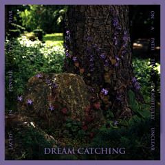 Dream Catching - Sarah Buckley