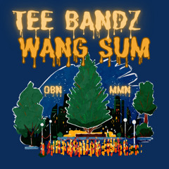 Tee Bandz4 Party Songs⭐️