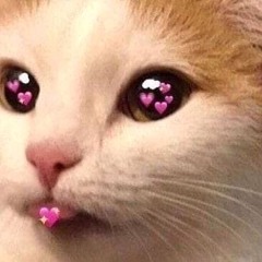 💖 Mii-Mii Presents: Mii Favs Vol. 2 💖