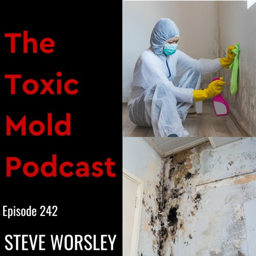 EP 242: Preventing Toxic Mold Sickness