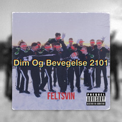 Dim Og Bevegelse 2101