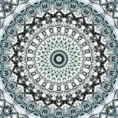 ILLUSIONAL MUSE