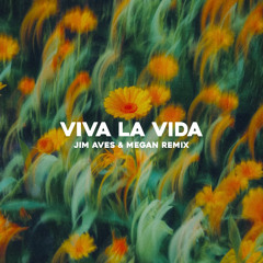 Coldplay - Viva La Vida (Jim Aves & MEGAN Remix)