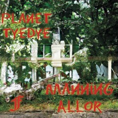 Manning Allor - It Is What It Is (Prod TyeDye + WiLL)