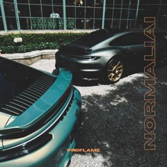 PROFLAME - NORMALIAI
