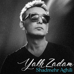 Shadmehr Aghili - Yakh Zadam ( Slowed )