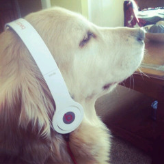 Narcotics (trenchgang mix) prod. Glinkli