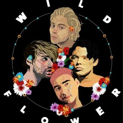 Wildflower - 5sos (slowed Down)