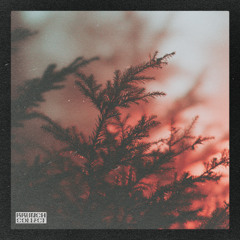 Beat fanatics x Baila Sin Cesar - On the way home