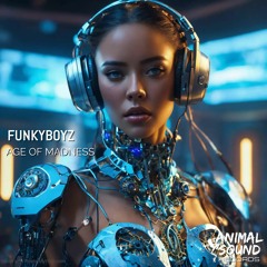 Funkyboyz - Age Of Madness [Animal Sound Records]