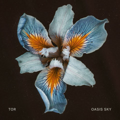 Daily Dose of Electronic