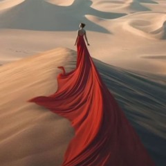 Red Dress in the Desert