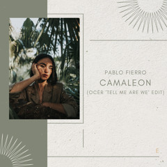 Pablo Fierro - Camaleon (OCËR 'Tell Me Are We' Edit)