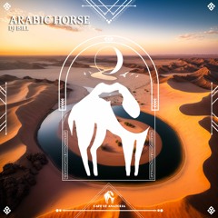 Dj Bill - Arabic Horse (Cafe De Anatolia)