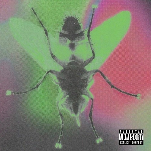 1of1soldier - "Project 5" (prod.ayyvince)