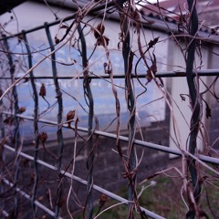 ItestI