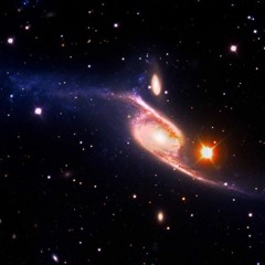 Ambient #147