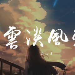 王欣宇 - 云淡风轻【動態歌詞/Lyrics Video】