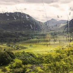 Rain Journal