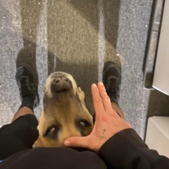 "SAN DIEGO" “FREESTYLE” (prod.Grah!)