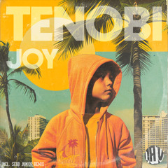 Joy (Sebb Junior Remix)