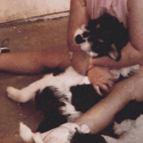 We Made an Angel in the Snow