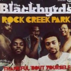 The Blackbyrds - Rock Creek Park (Mark Brown Remix)