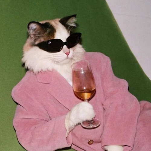 MELODIC TECHNO & DEEP & PROGRESSIVE VIBES <33