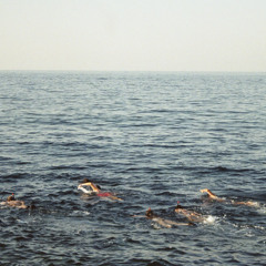 CAP Selects: Albums S5 | SHADE by Laura Mainard