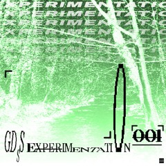 GDSS EXPERIMENTATION 001