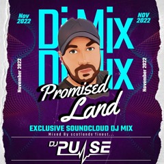 Dj Pulse Promised Land