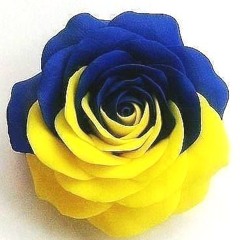 DJ Ukraine