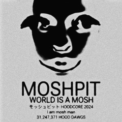 MOSHPIT prod. artemi