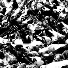 HARMONY sstepteam remix (p. wensdxai yokai)