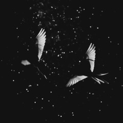 Such Mysterious and Strange Creatures