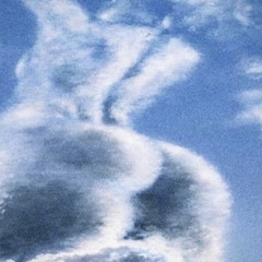 REALLY DON'T X JADED