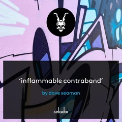 **TASTER CLIP** Dave Seaman - Inflammable Contraband