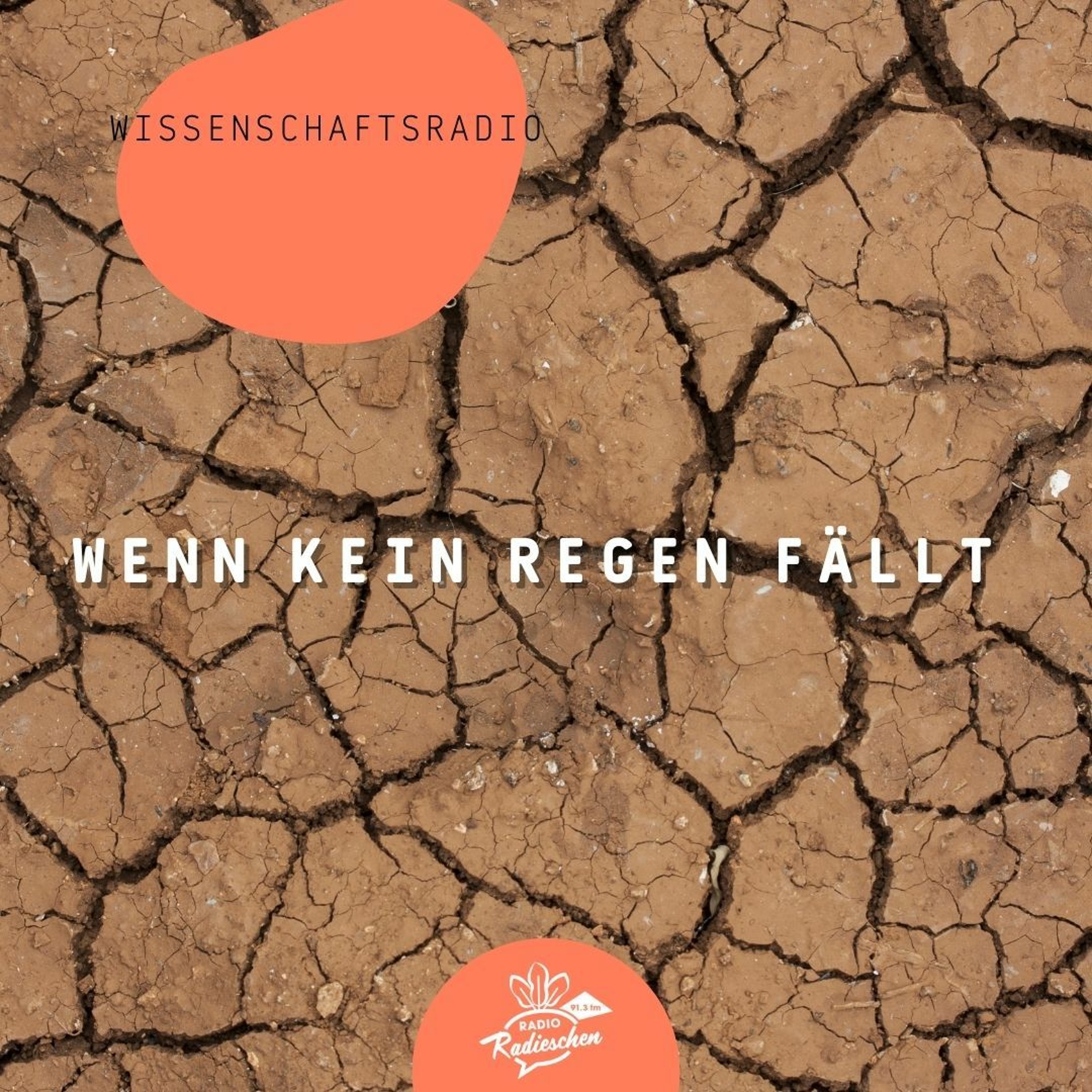 Radio Radieschen